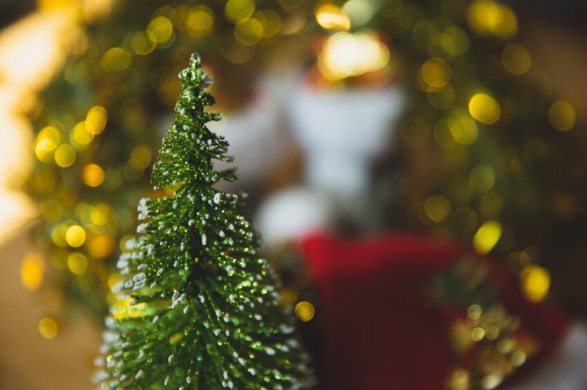 The Perfect Guide to Christmas Trees for Sale